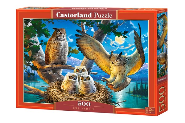Castorland (B-53322) - "Owl Family" - 500 pezzi