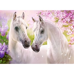 Castorland (B-030378) - "Romantic Horses" - 300 pezzi