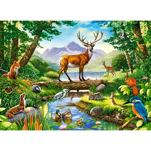 Castorland (B-030408) - "Woodland Harmony" - 300 pezzi