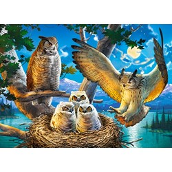 Castorland (B-018437) - "Owl Family" - 180 pezzi