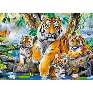 Castorland (B-13517) - "Tigers by the Stream" - 120 pezzi