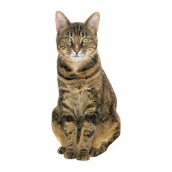 Chronicle Books / Galison (9780735360136) - "Queen of the Stacks" - 650 pezzi