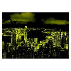 Educa (18462) - "Hong Kong Skyline" - 1000 pezzi