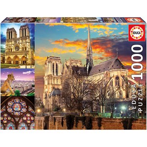 Educa (18456) - "Notre Dame Collage" - 1000 pezzi