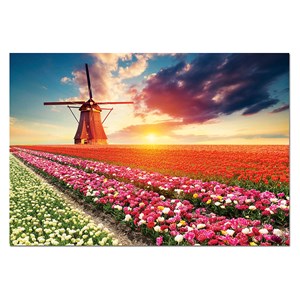 Educa (18465) - "Tulips Landscape" - 1500 pezzi