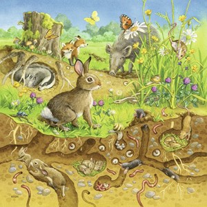 Ravensburger (08050) - "Animals in their Habitats" - 49 pezzi
