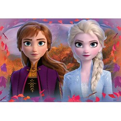 Ravensburger (05009) - "Frozen II" - 12 pezzi