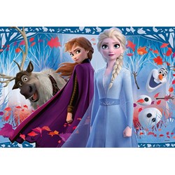 Ravensburger (05009) - "Frozen II" - 12 pezzi