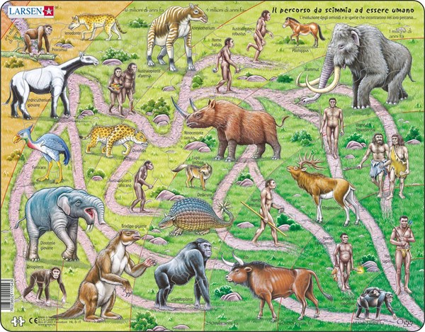 Larsen (HL3-IT) - "Il percorso da scimmia ad essere umano" - 70 pezzi