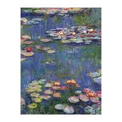 Chronicle Books / Galison (9780735358133) - Claude Monet: "Monet" - 500 pezzi