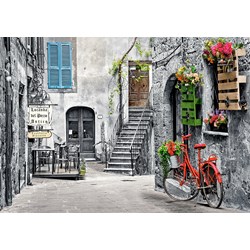 Castorland (B-53339) - "Charming Alley with Red Bicycle" - 500 pezzi