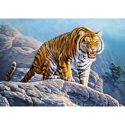 Castorland (B-53346) - "Tiger on the Rocks" - 500 pezzi