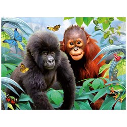 King International (05327) - "Animal World" - 12 24 36 50 pezzi