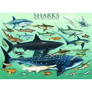 Eurographics (6000-0079) - "Sharks" - 1000 pezzi