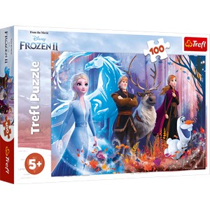 Trefl (16366) - "Magic of Frozen" - 100 pezzi
