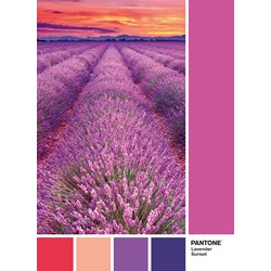 Clementoni (39493) - "Lavender sunset" - 1000 pezzi