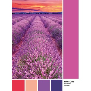 Clementoni (39493) - "Lavender sunset" - 1000 pezzi