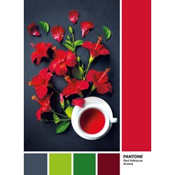 Clementoni (39494) - "Red Hibiscus Aroma" - 1000 pezzi