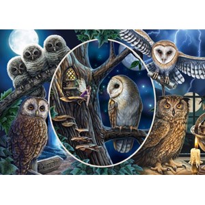 Schmidt Spiele (59667) - Lisa Parker: "Mysterious Owls" - 1000 pezzi