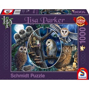 Schmidt Spiele (59667) - Lisa Parker: "Mysterious Owls" - 1000 pezzi