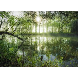 Schmidt Spiele (59670) - Stefan Hefele: "Homeland Jungle" - 1000 pezzi