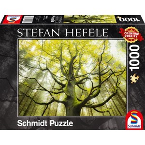 Schmidt Spiele (59669) - Stefan Hefele: "Dream Tree" - 1000 pezzi