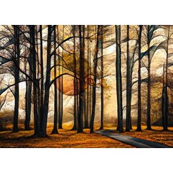 Schmidt Spiele (58396) - "Magical Forest" - 1000 pezzi