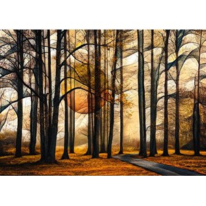 Schmidt Spiele (58396) - "Magical Forest" - 1000 pezzi