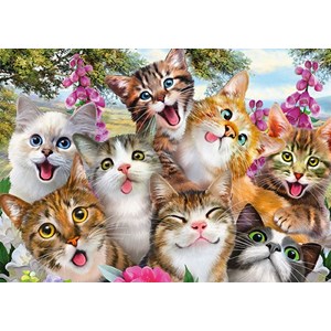 Schmidt Spiele (58391) - "Cat Selfie" - 500 pezzi