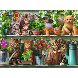 Ravensburger (14824) - "Cats on the Shelf" - 500 pezzi