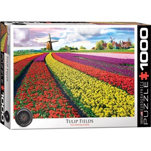 Eurographics (6000-5326) - "Tulip Field, Netherlands" - 1000 pezzi