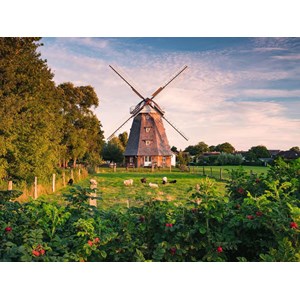 Ravensburger (16223) - "Windmill" - 1500 pezzi