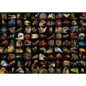 Ravensburger (15983) - "99 Stunning Animals" - 1000 pezzi