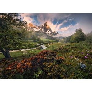 Ravensburger (15993) - "Clarée Valley, French Alps" - 1000 pezzi