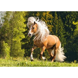 Ravensburger (15009) - "Horse" - 1000 pezzi