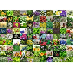 Ravensburger (15991) - "99 Herbs and Spices" - 1000 pezzi