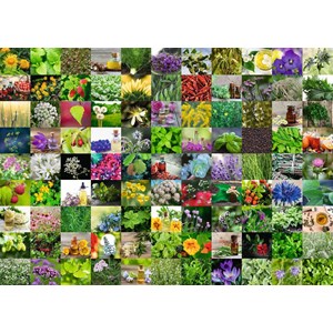 Ravensburger (15991) - "99 Herbs and Spices" - 1000 pezzi