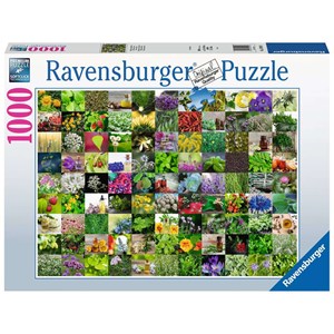 Ravensburger (15991) - "99 Herbs and Spices" - 1000 pezzi