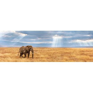 Clementoni (39484) - "Lost" - 1000 pezzi
