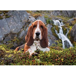 Clementoni (39511) - "Charlie Brown" - 1000 pezzi