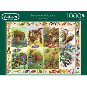 Falcon (11200) - Sarah Adams: "Seasonal Wildlife" - 1000 pezzi
