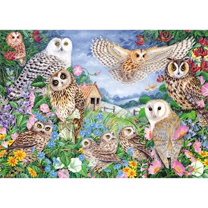 Falcon (11286) - Claire Comerford: "Owls in the Wood" - 1000 pezzi