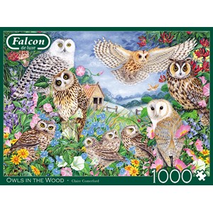 Falcon (11286) - Claire Comerford: "Owls in the Wood" - 1000 pezzi