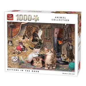 King International (05700) - "Kittens in the Barn" - 1000 pezzi