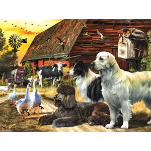 SunsOut (49002) - "Farm Lives Matter" - 1000 pezzi