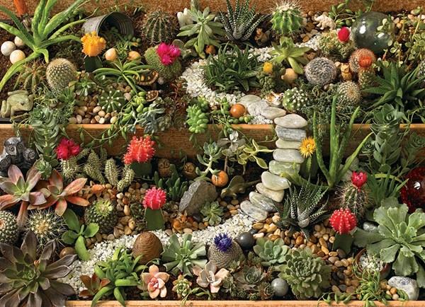 Cobble Hill (80157) - "Succulent Garden" - 1000 pezzi