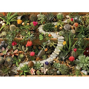 Cobble Hill (80157) - "Succulent Garden" - 1000 pezzi