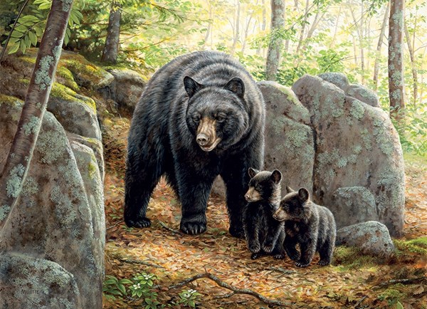 Cobble Hill (80154) - "Mama Bear" - 1000 pezzi