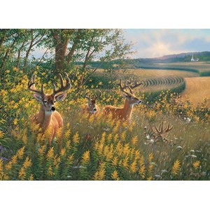 Cobble Hill (80092) - "Summer Deer" - 1000 pezzi