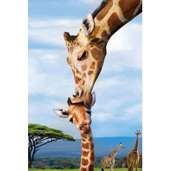 Eurographics (8251-0294) - "Giraffes" - 250 pezzi